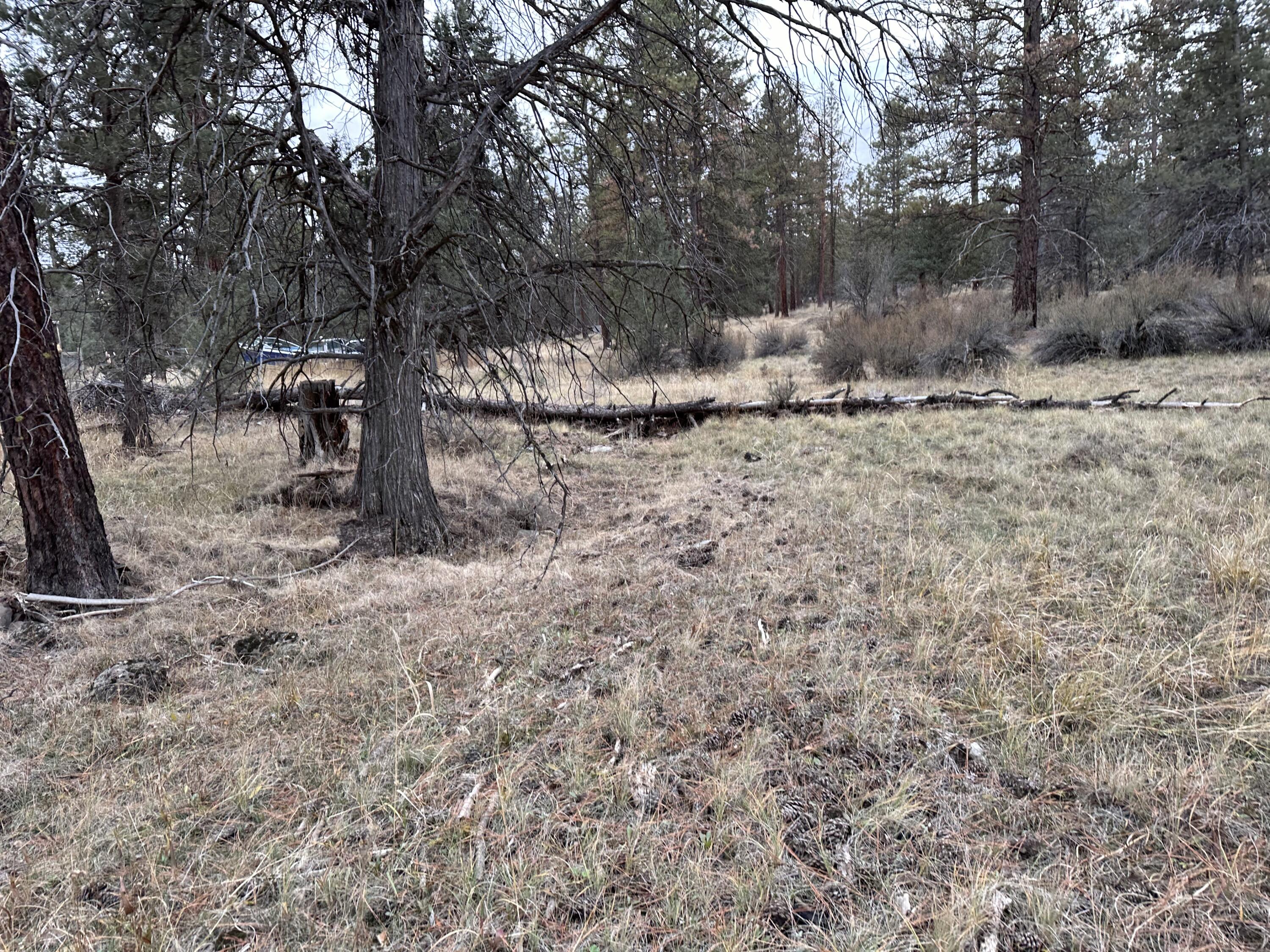 Klamath Falls Forest Estates -Hwy 66 Unit -Plat No. 2 - Land