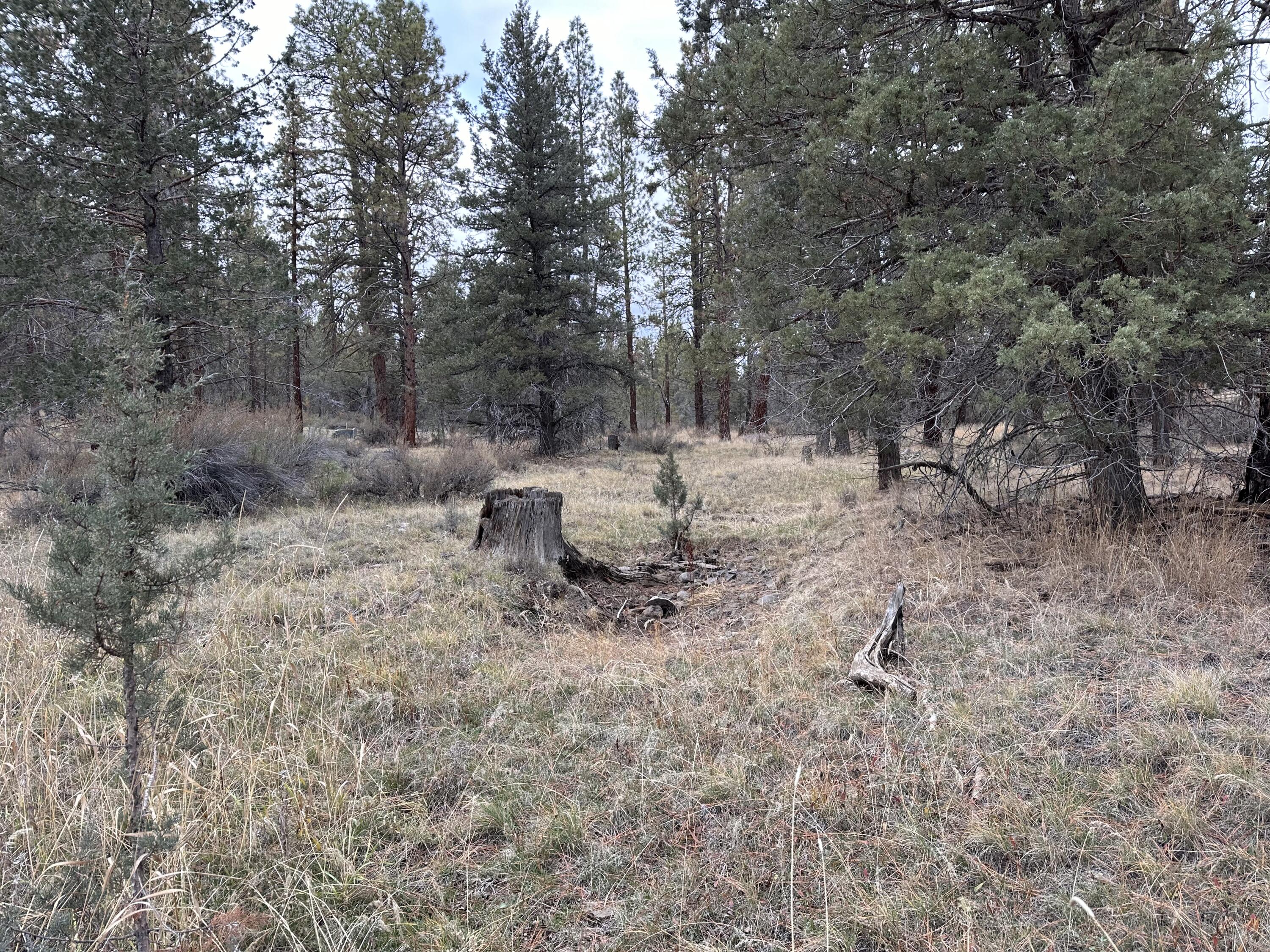Klamath Falls Forest Estates -Hwy 66 Unit -Plat No. 2 - Land