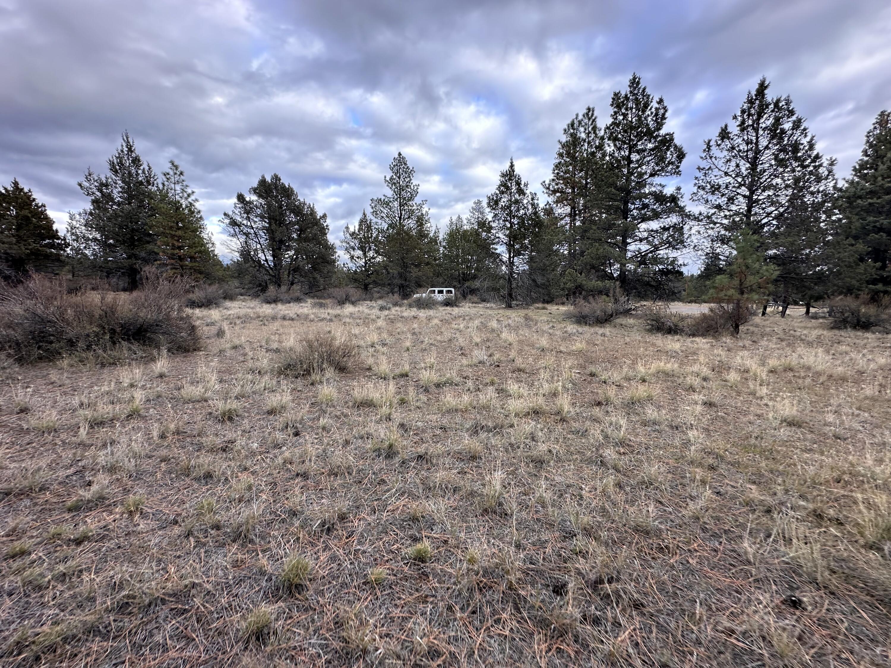 Klamath Falls Forest Estates -Hwy 66 Unit -Plat No. 2 - Land