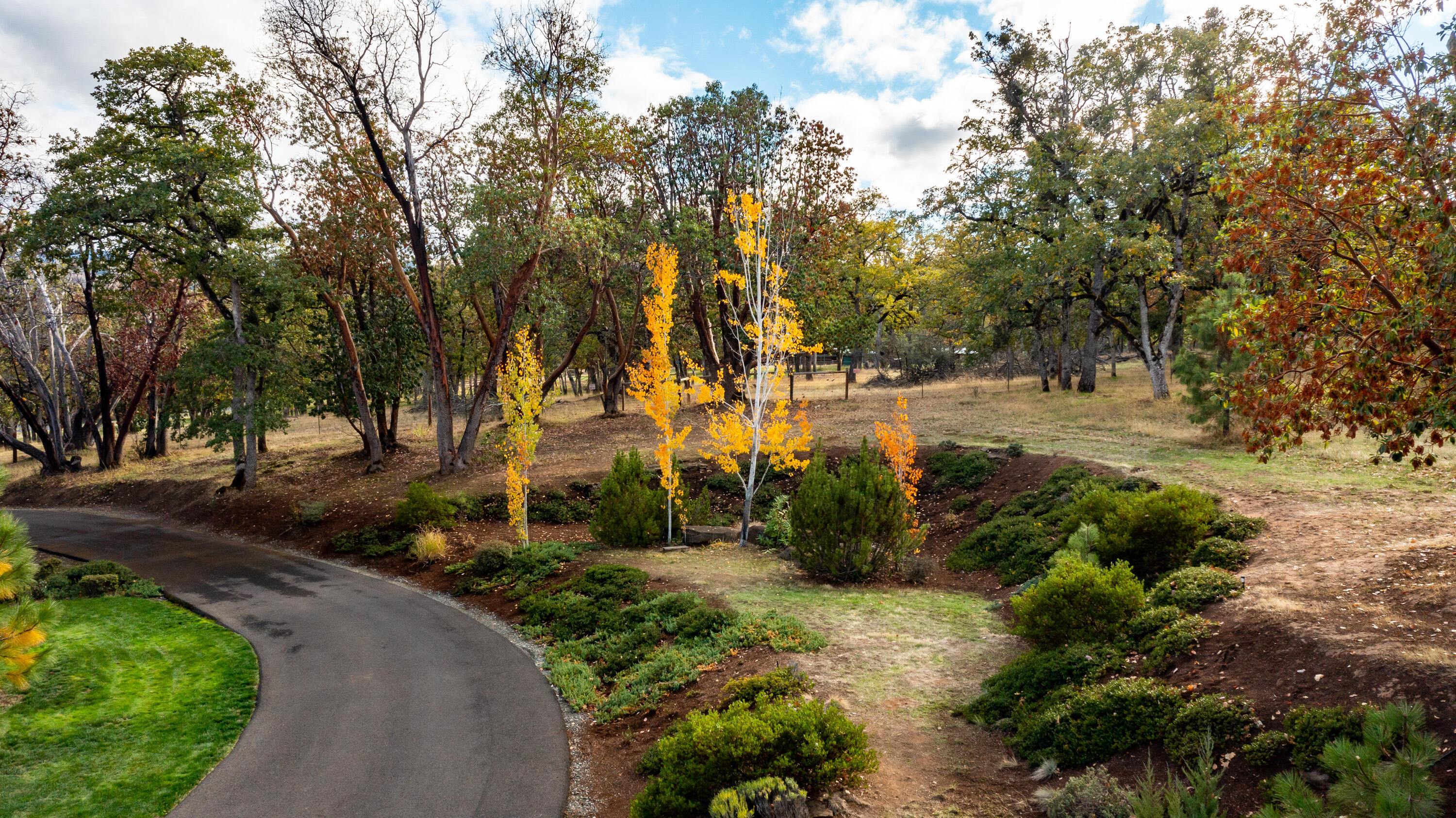 Buena Vista Heights Subdivision - Residential