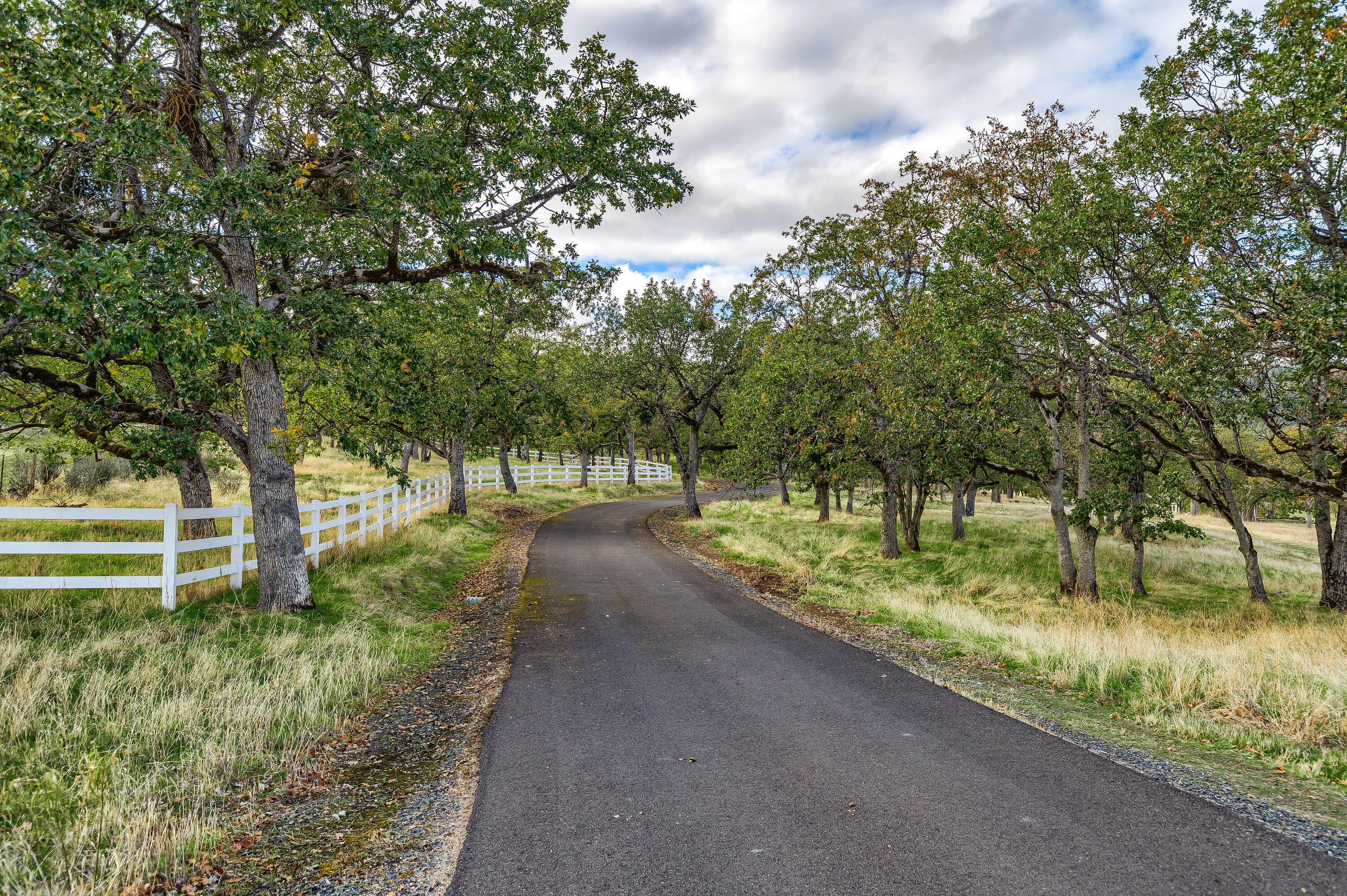 Buena Vista Heights Subdivision - Residential