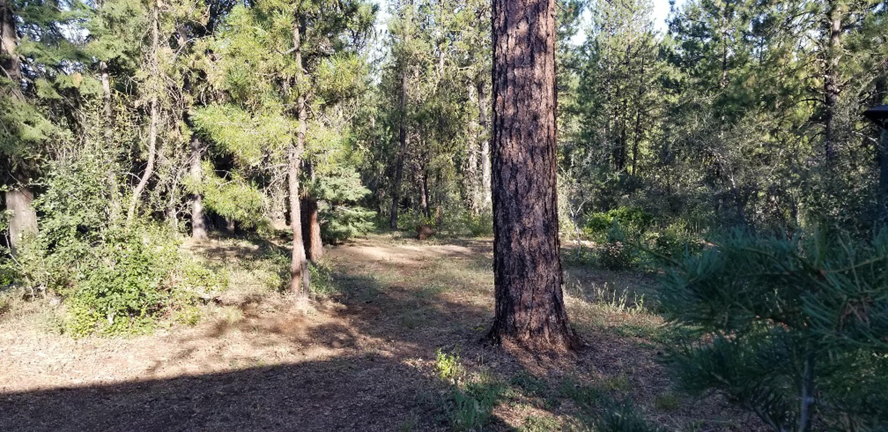 Klamath Falls Forest Estates Hwy 66 Unit Plat 4 - Land