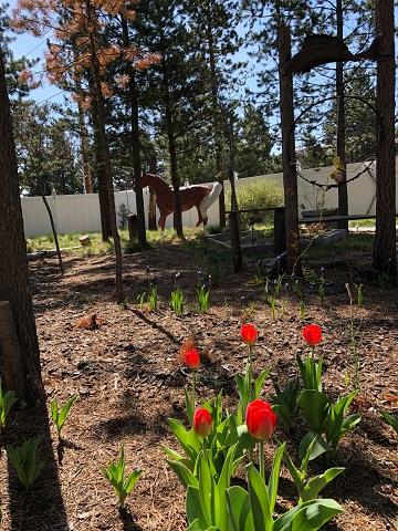 R&W Estates - Residential