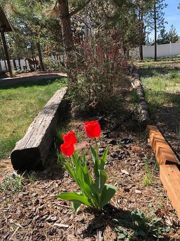 R&W Estates - Residential