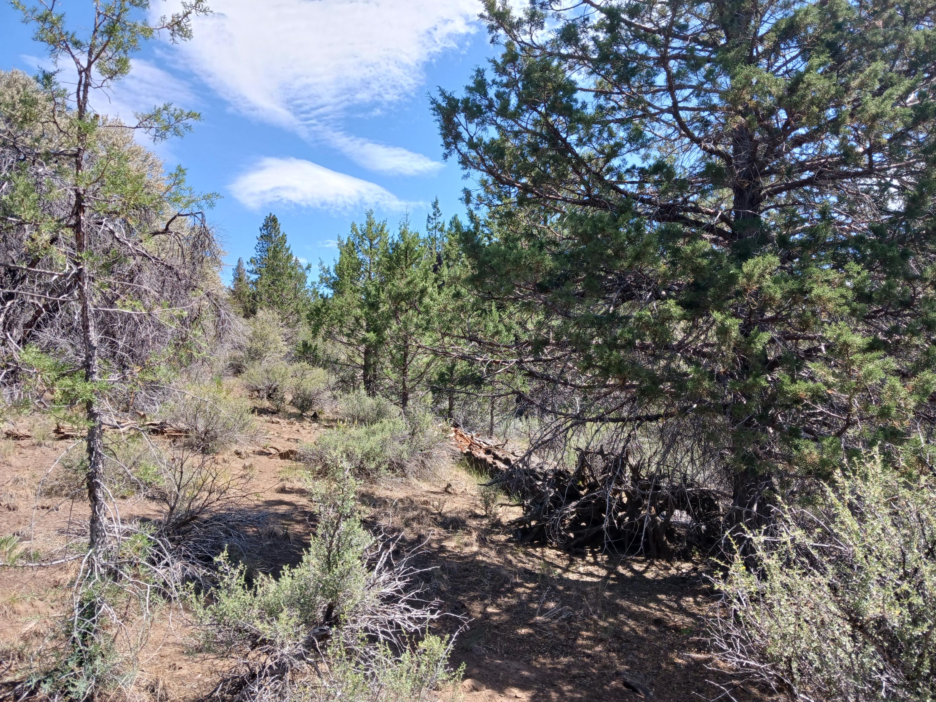 Klamath Falls Forest Estates Hwy 66 Unit Plat 4 - Land