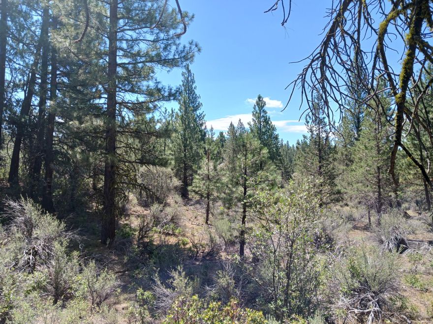 Beautiful densely wooded lot backed up to public lands. Located in the heart of Klamath county where recreational activities are unlimited and wildlife is abundant. Next to main road for excellent year round access, secluded & remotely located, yet within 30 minutes of Klamath Falls. NOT affected by the recent ''Golden Fire''  Adjacent 3.7 acre lot is for sale also, buy both & have over 7 acres of mountain paradise!