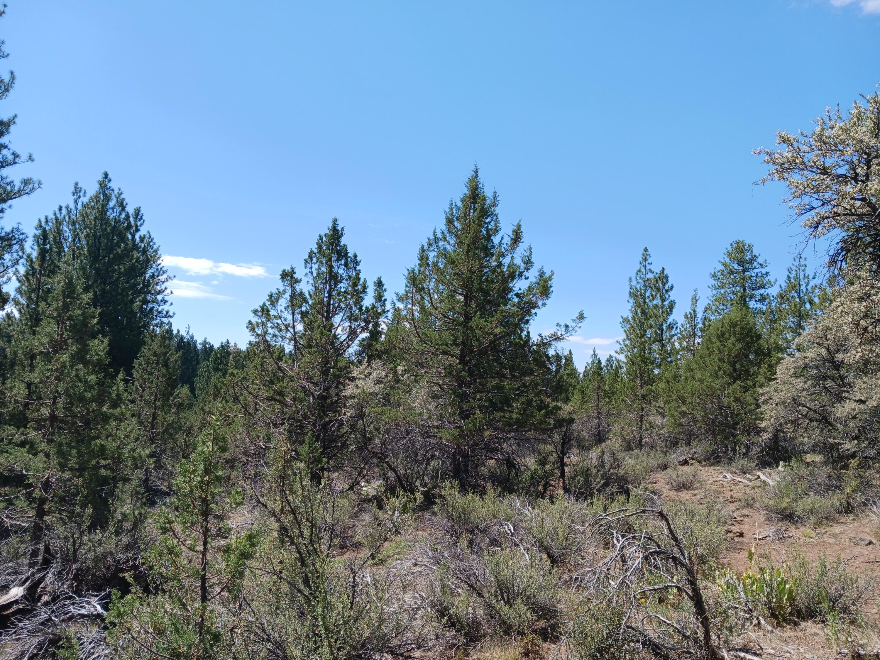 Klamath Falls Forest Estates Hwy 66 Unit Plat 4 - Land