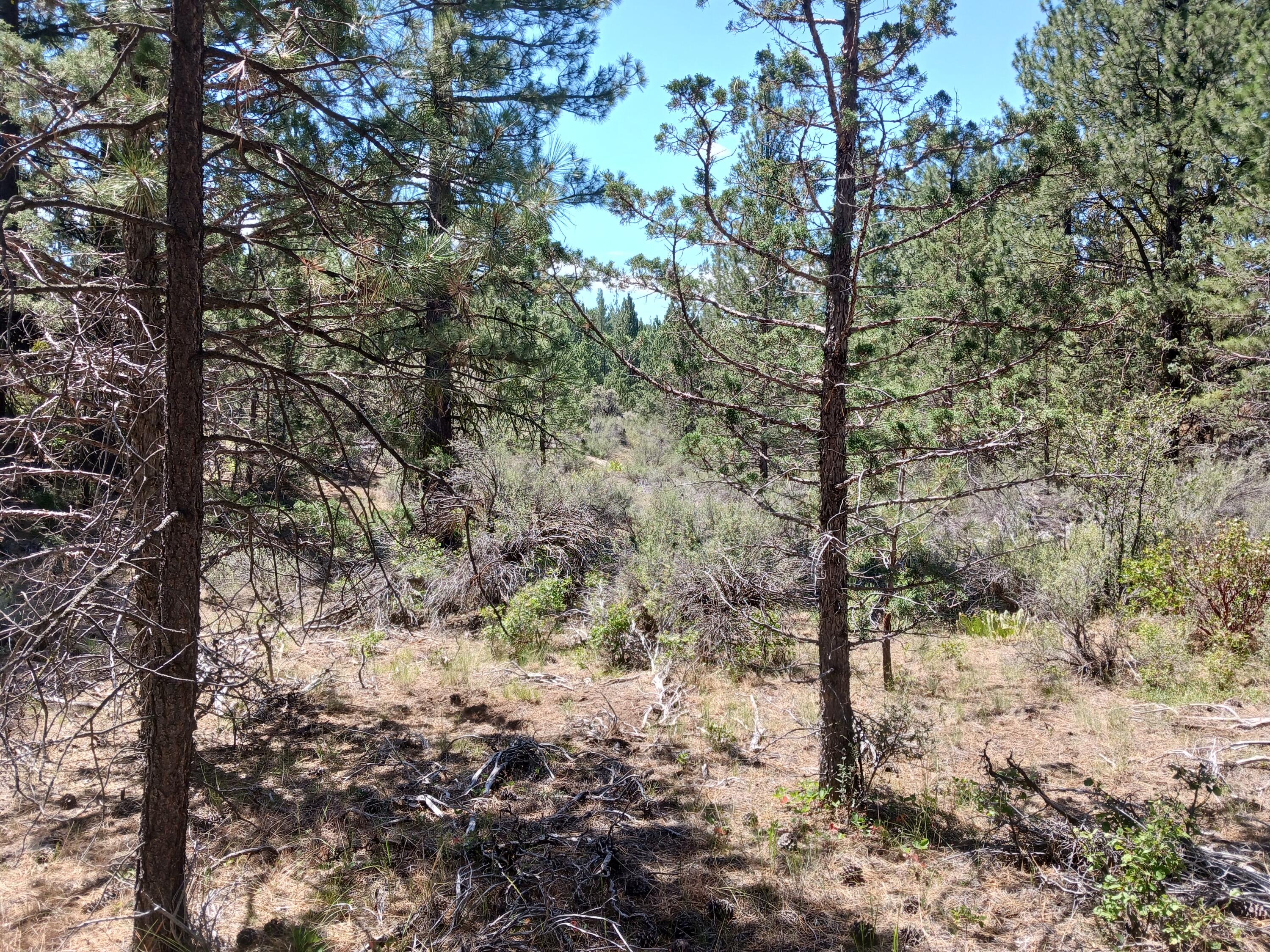 Klamath Falls Forest Estates Hwy 66 Unit Plat 4 - Land