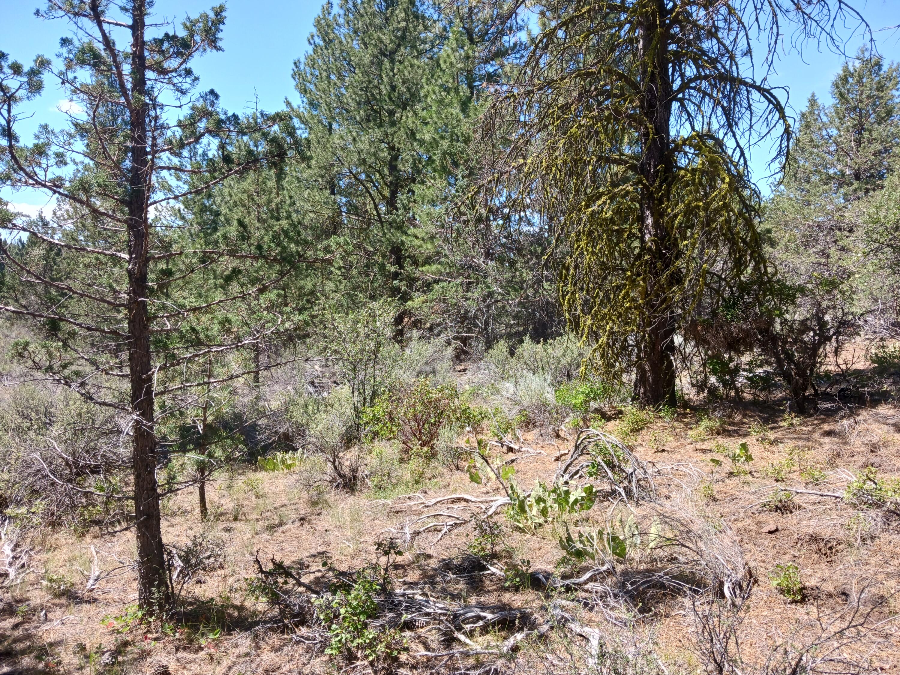Klamath Falls Forest Estates Hwy 66 Unit Plat 4 - Land