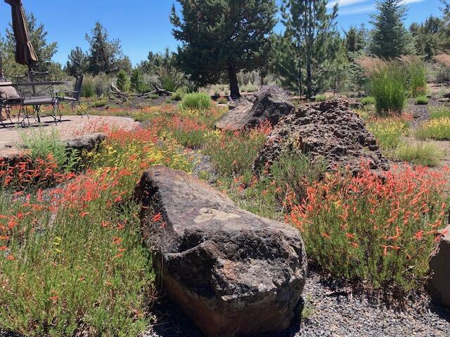 Lane Knolls - Residential