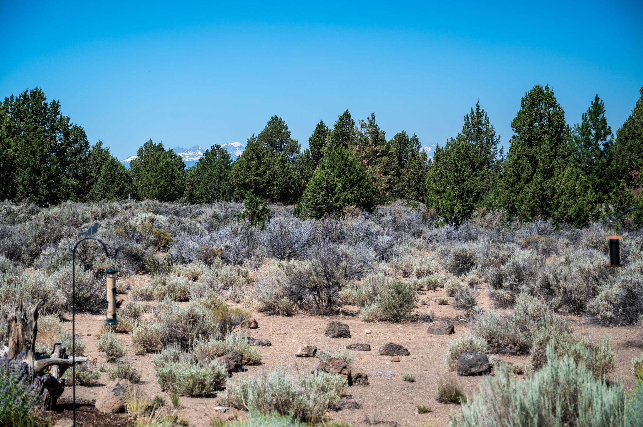 Lane Knolls - Residential