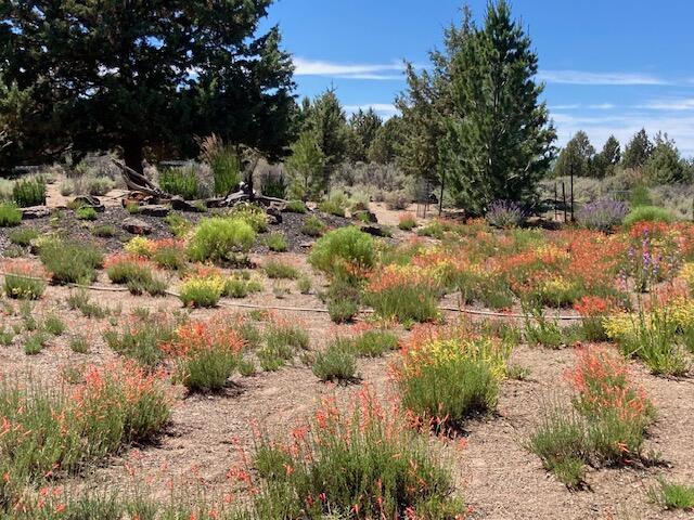 Lane Knolls - Residential