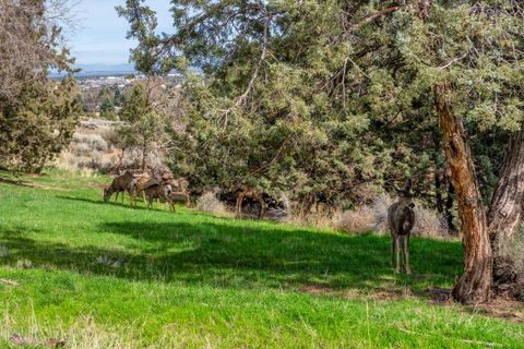 Tiny photo for 3244 SW 34th Street, Redmond, OR 97756 (MLS # 220220062)