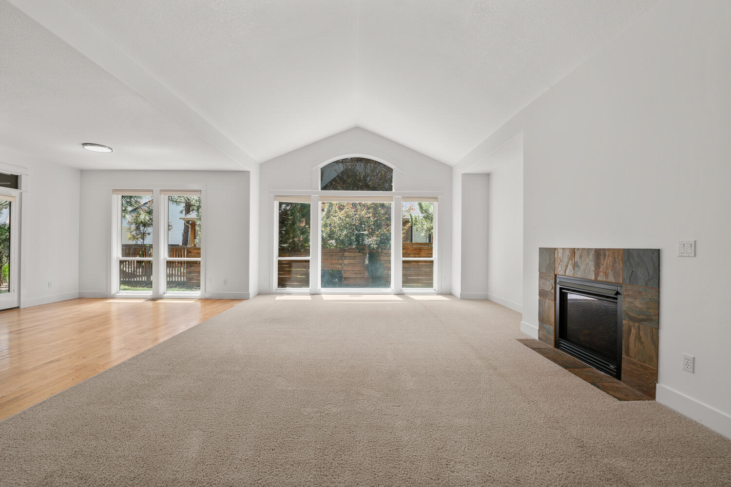 903 E Timber Pine Drive