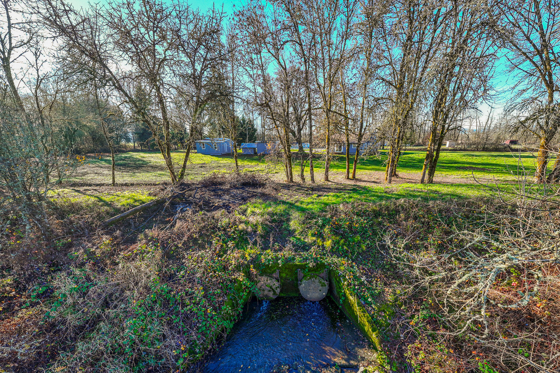 93541 Territorial Highway