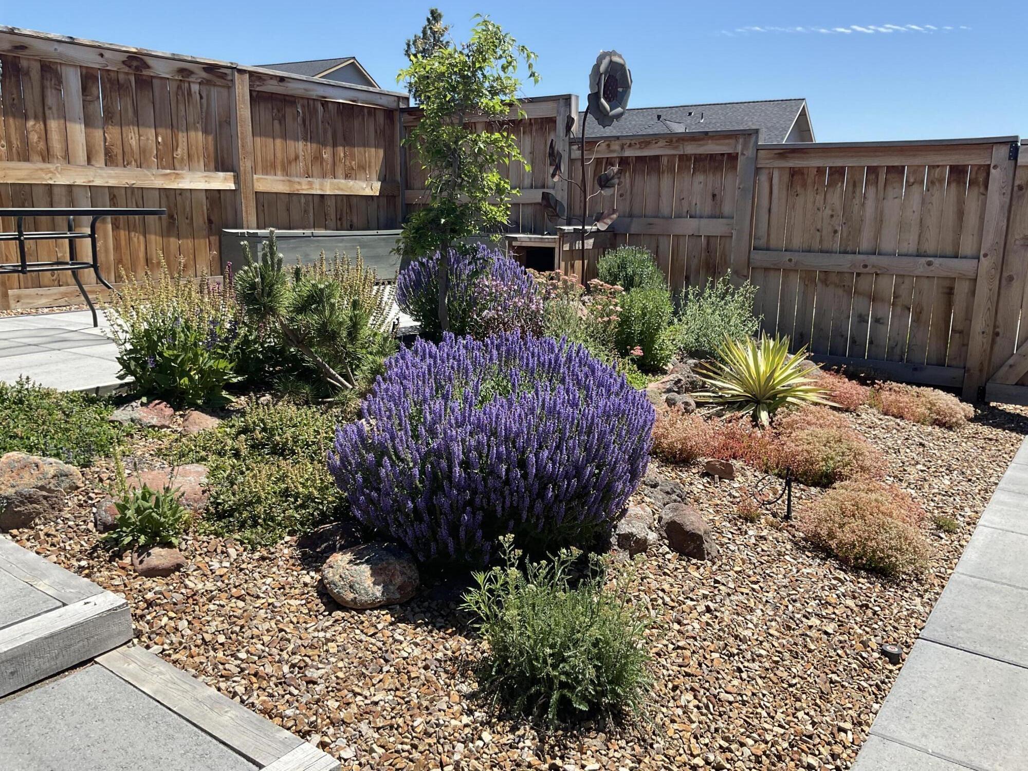 Yarrow - Residential