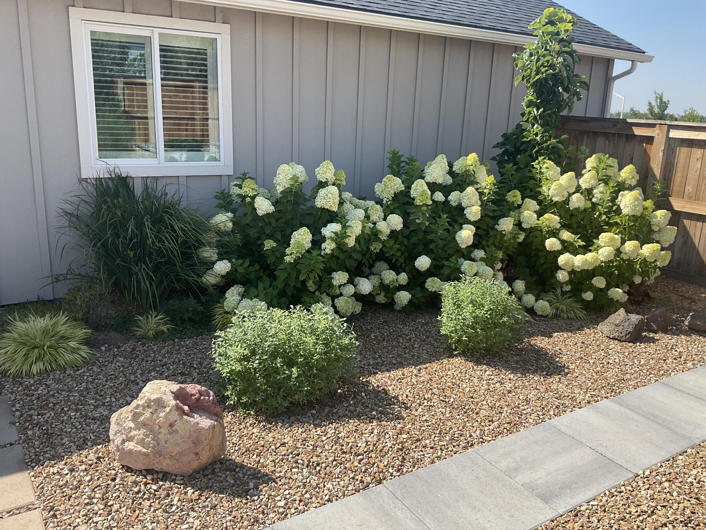 Yarrow - Residential