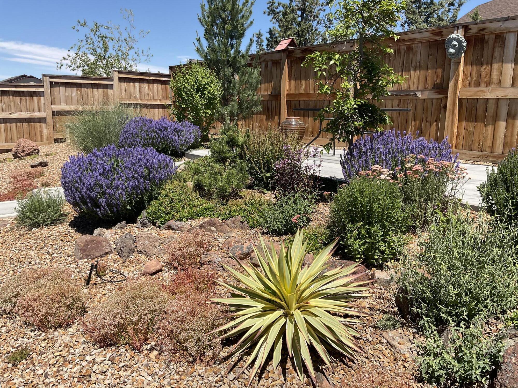 Yarrow - Residential