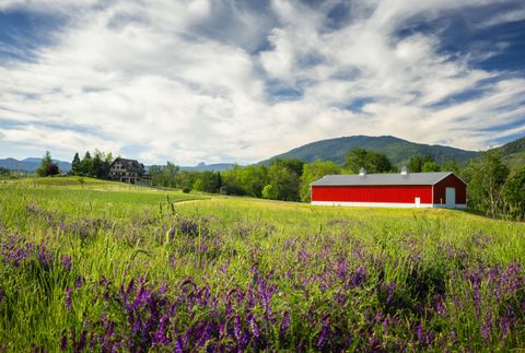 Tiny photo for 5293 Oregon 66, Ashland, OR 97520 (MLS # 220219782)