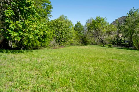 Tiny photo for 5293 Oregon 66, Ashland, OR 97520 (MLS # 220219782)