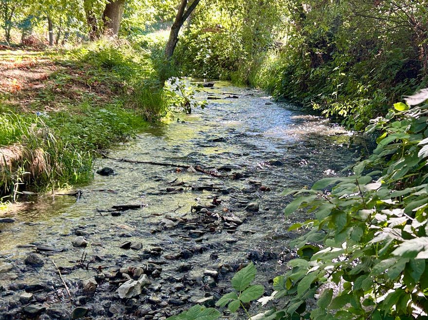 Don't miss out on this creek-side home in an idyllic setting! Set back from the road on a private drive, near griffin creek elementary, this one acre property features mature grape vines, fruit trees, gardening space, and an oversized workshop! Home features 2 bedrooms on the main level and two downstairs, and is ready for your modern touches! The roof is nearly new, one bathroom remodel has already started, and the rest is up to you! Call for more info!