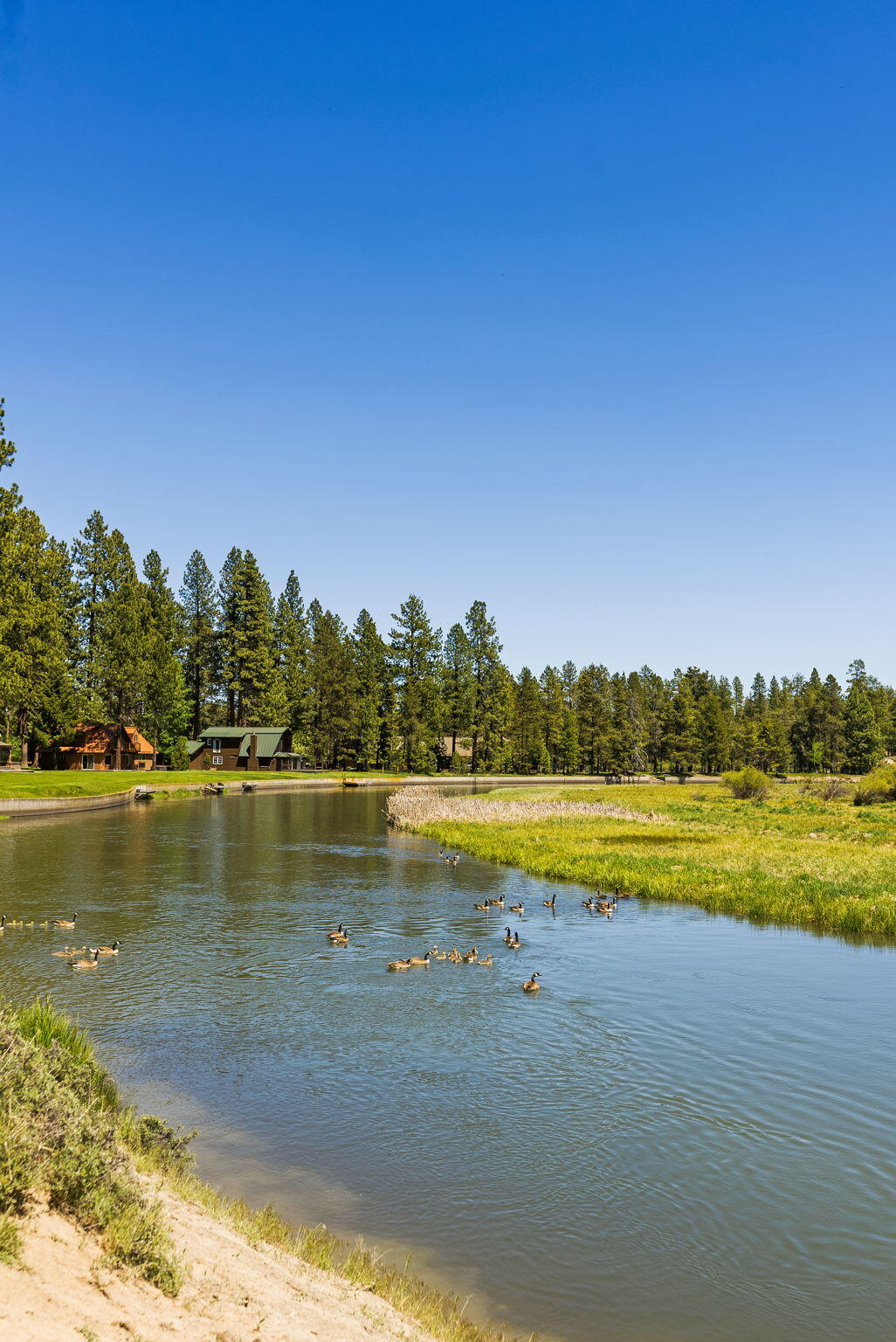 River Forest Acres - Residential