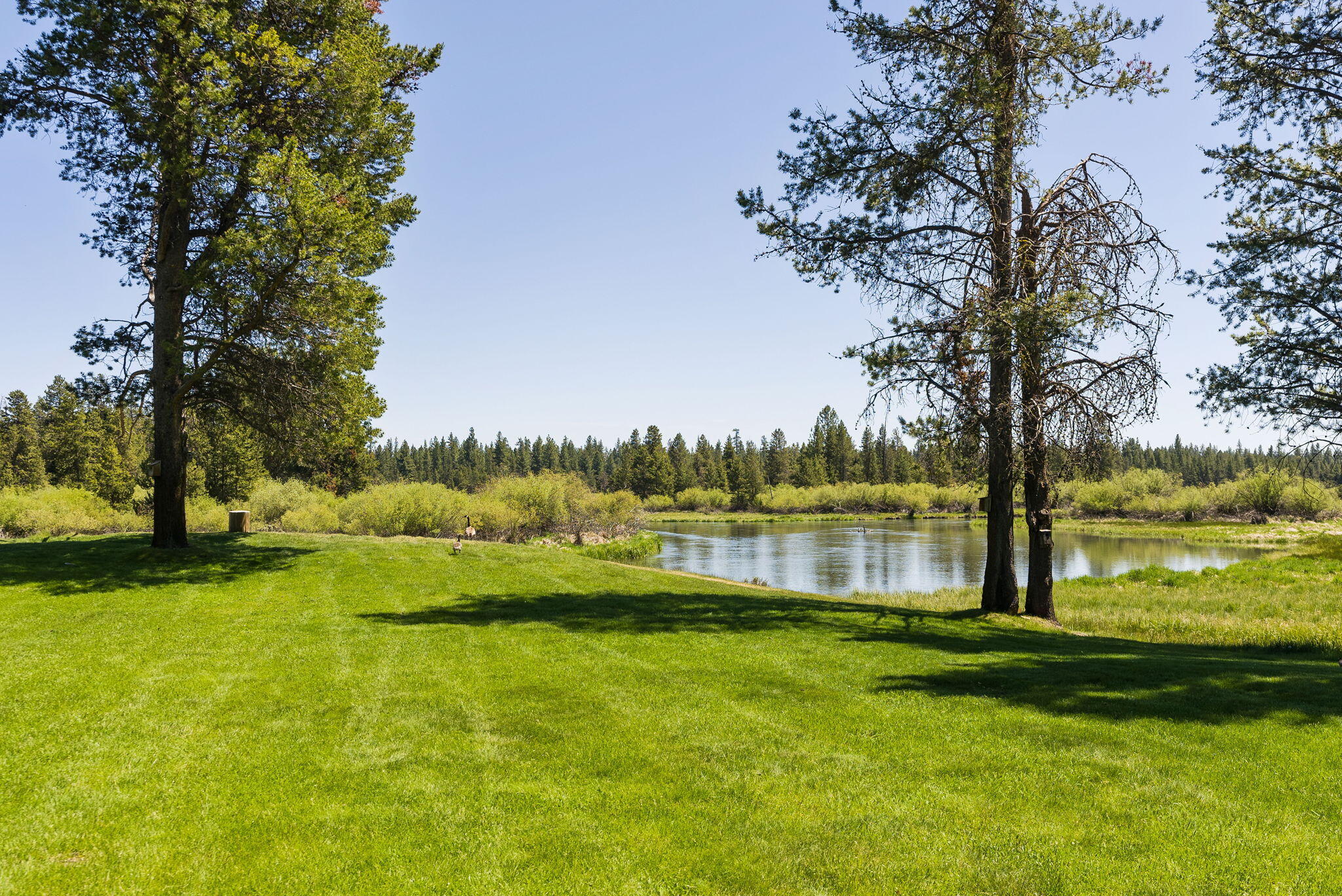 River Forest Acres - Residential