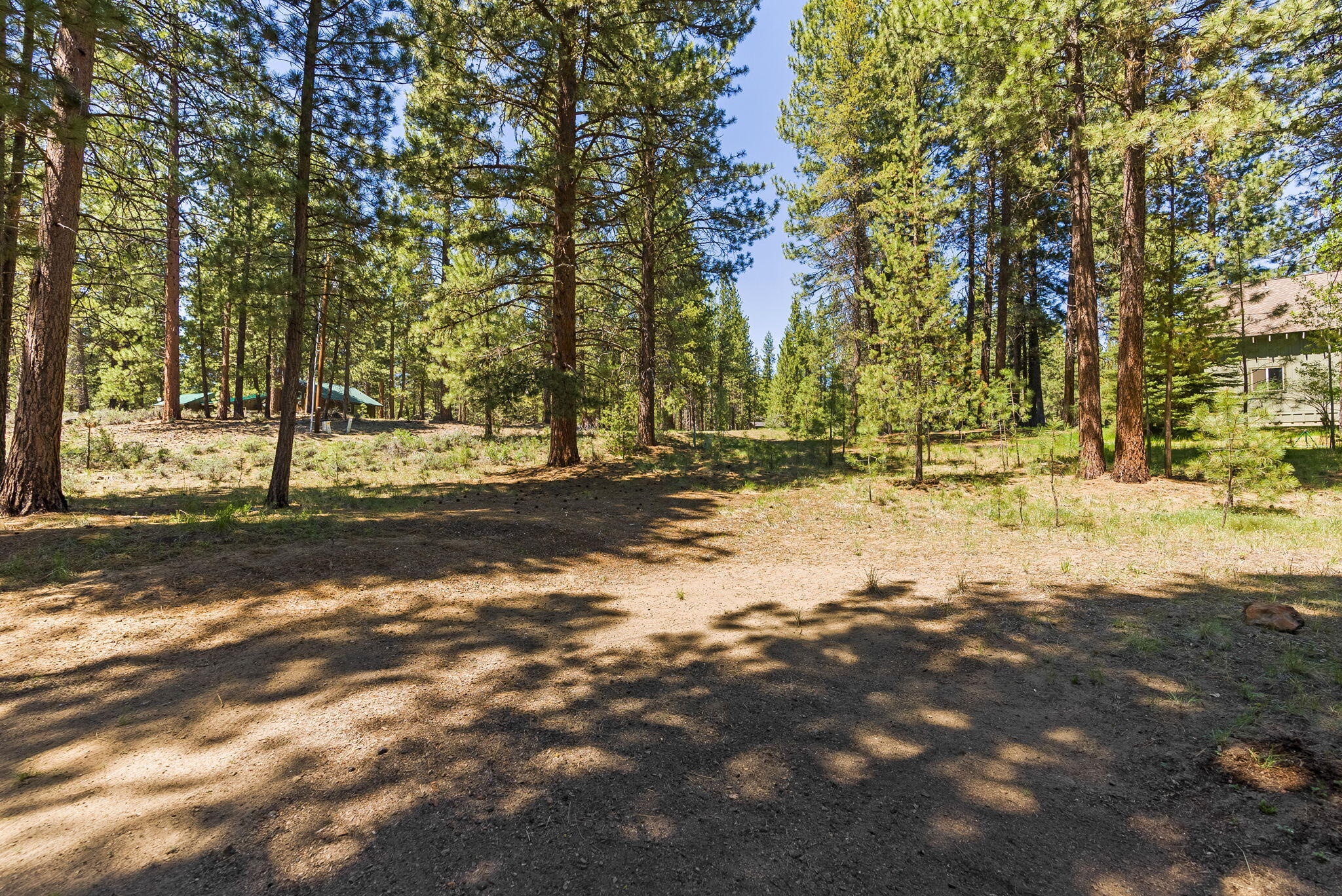 River Forest Acres - Residential