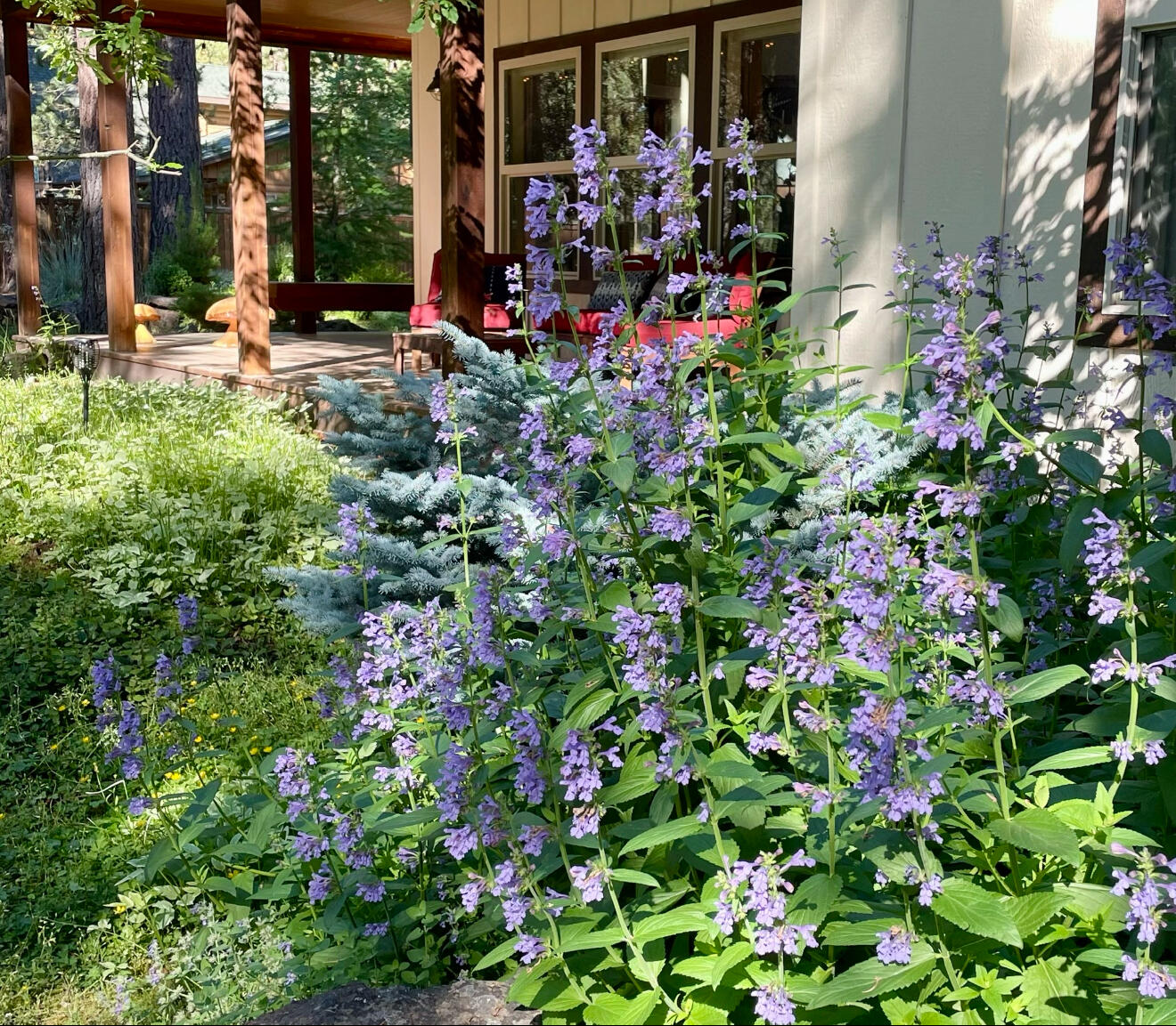 River Forest Acres - Residential