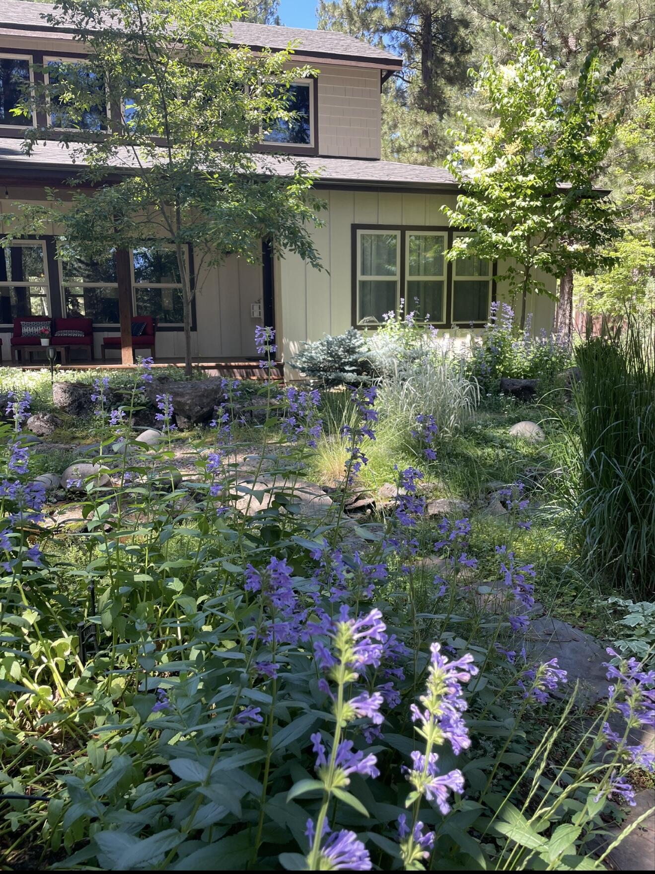 River Forest Acres - Residential