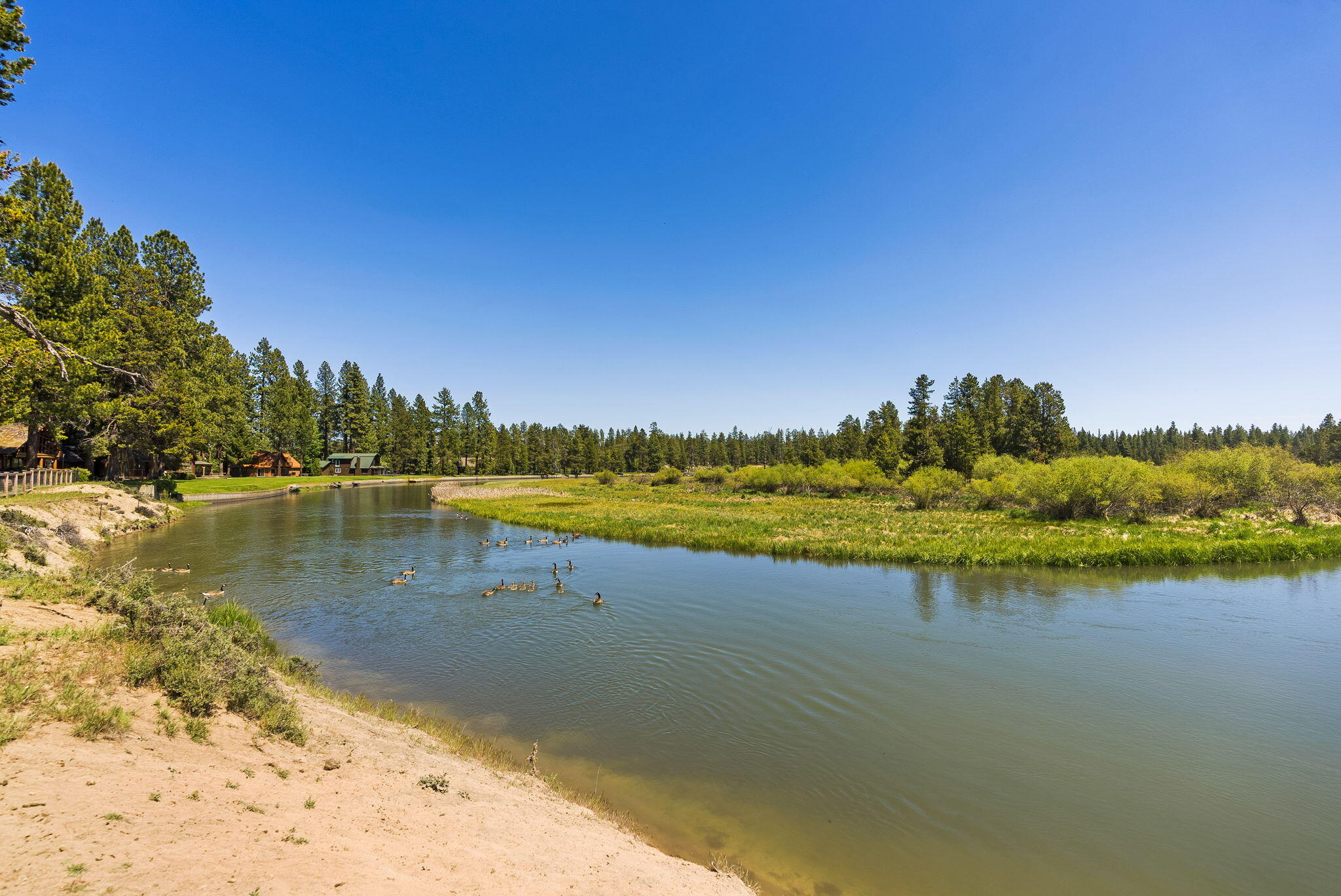 River Forest Acres - Residential