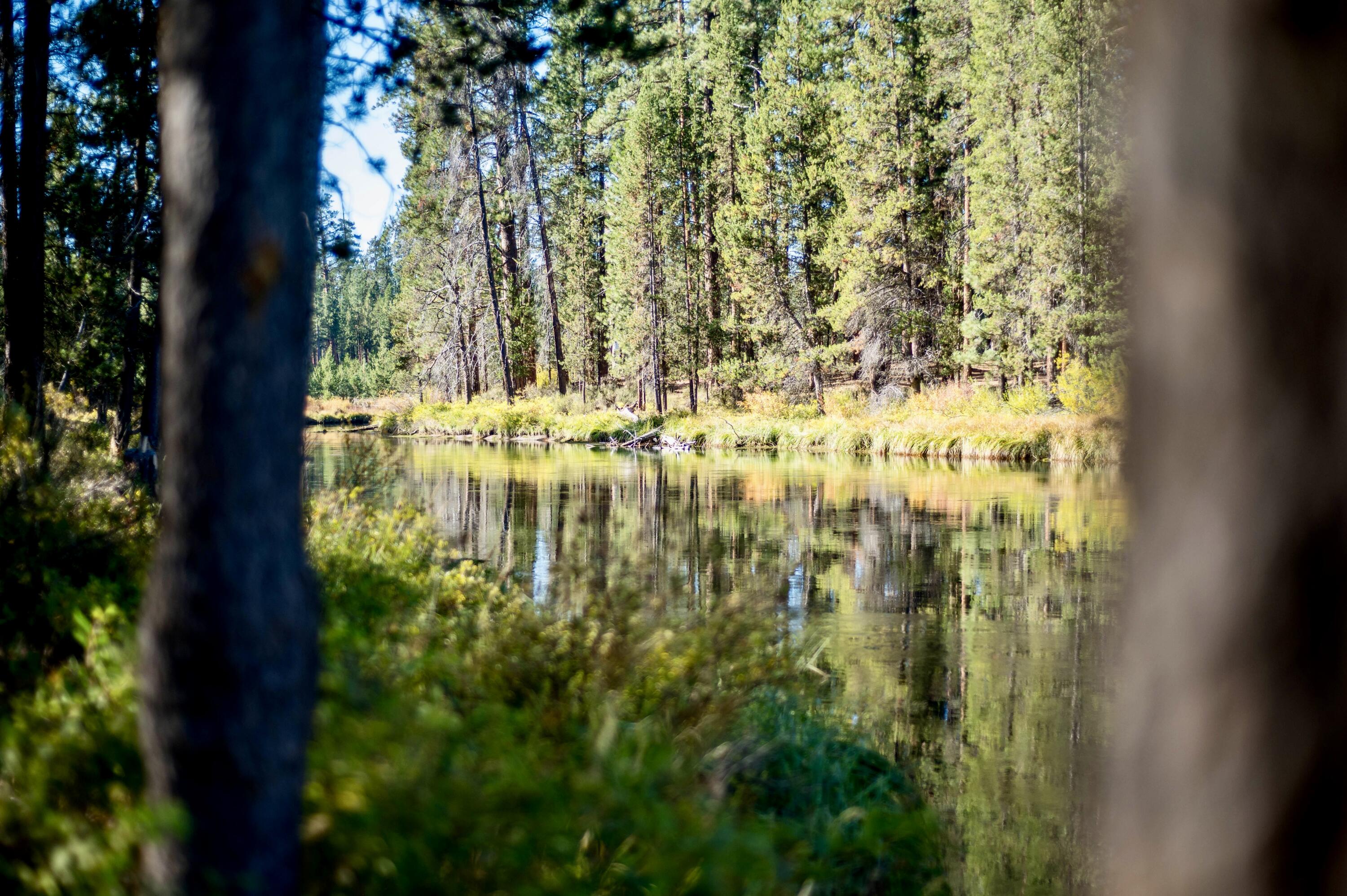 Huntington Meadows - Residential