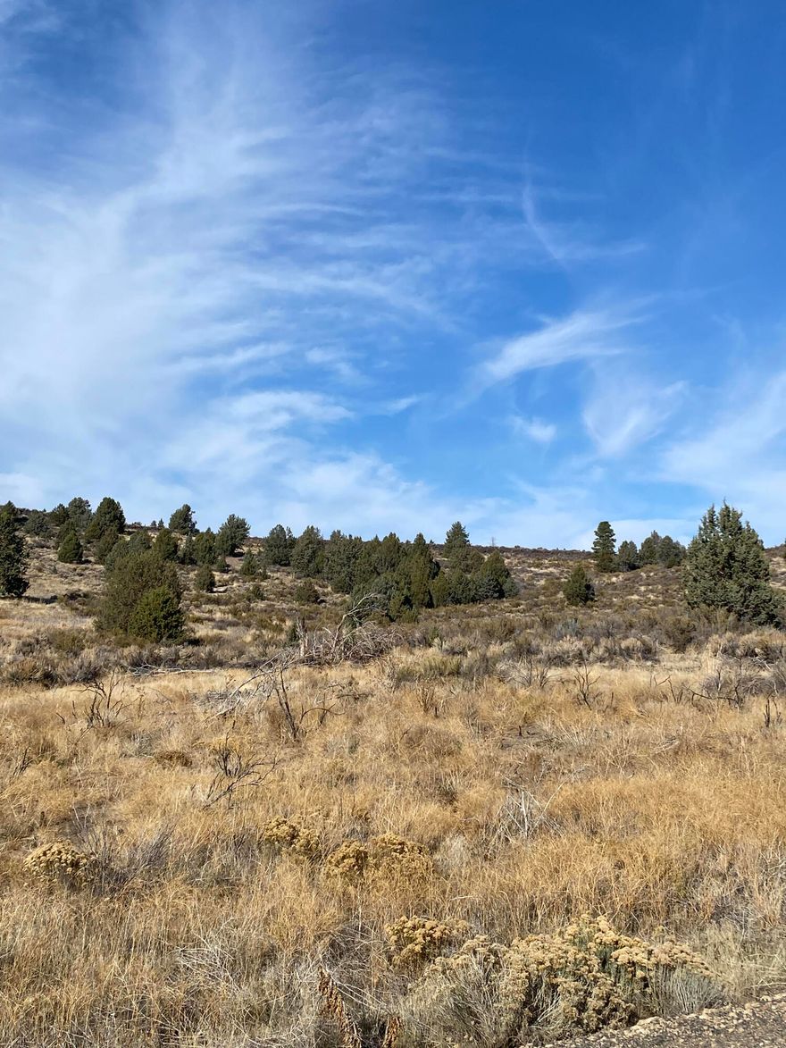 1.65 Acres with great views of the Sprague River and mountains. Zoned Rural Residential. Buyers to do any and all due diligence regarding the property, building, utilities ETC.