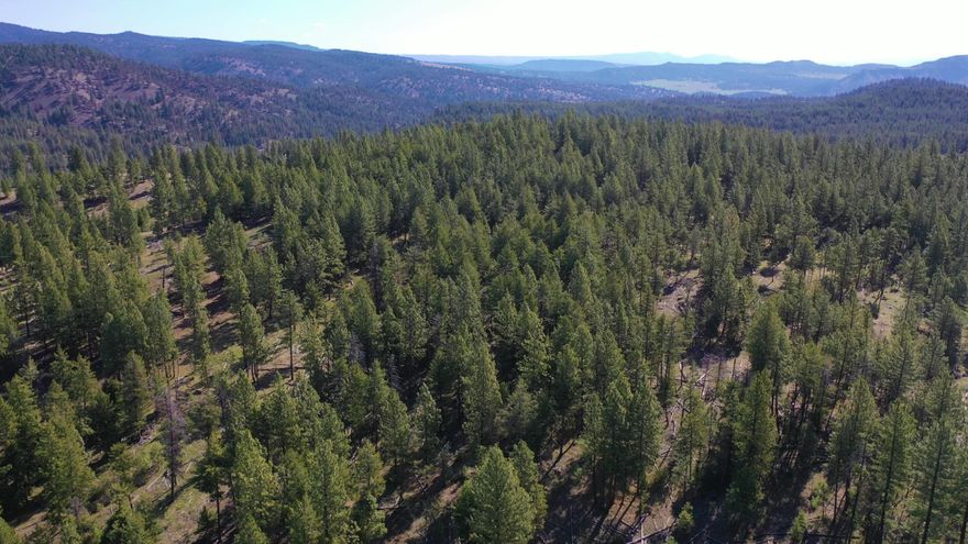Gone Huntin'.... Service Creek Hunting Camp promises 1,400± acres of some of the best hunting opportunities for Rocky Mountain elk, mule deer, turkey and other wildlife game. Service Creek Hunting Camp is primarily timber covered and situated on the headwaters of Service Creek, which flows to the mighty John Day River. With numerous springs, mountain grass canyons and grassy rolling hills, it's easy to see why the abundance of wildlife has chosen to call this area home. Just a few miles East of Fossil, Oregon and accessed by Highway 19, the rural private setting can be serviced by Columbia Power Cooperative. 3 Land Owner Preference tags for both Rocky Mountain bull elk and buck mule deer make this an easy choice for your hunting endeavors (buyer to confirm with ODFW). Service Creek Hunting Camp is the perfect setting for your family retreat, hunting cabin or social distancing wishes.