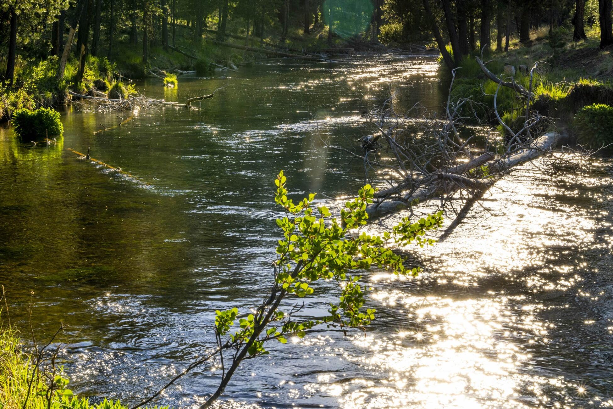 Fall River Estate - Residential