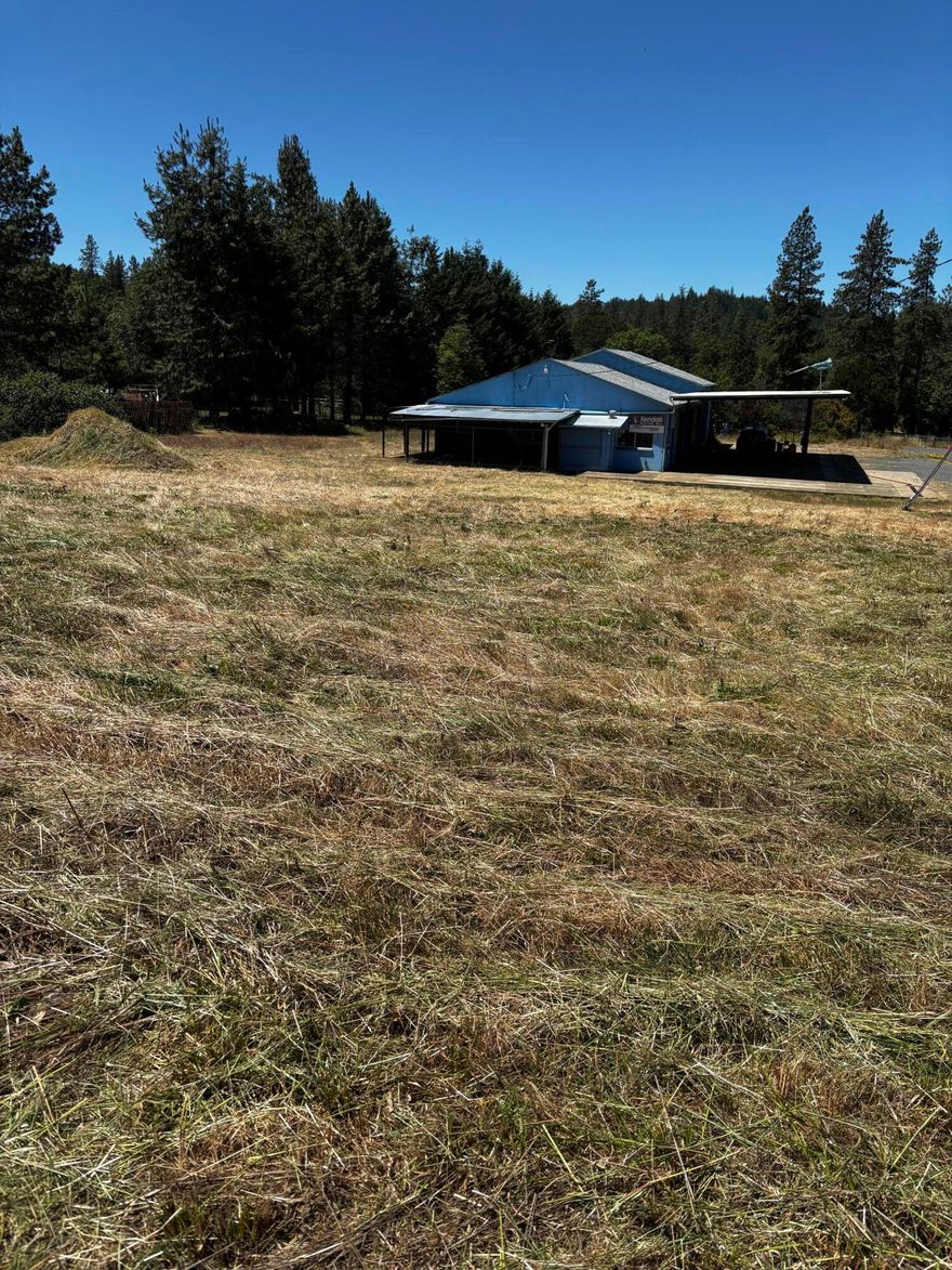 This is a rare opportunity to buy two lots with amazing potential. Contractors and car enthusiasts here you go! Originally Jerry's Transmission shop this property has a  massive 3,248 sq.ft , 4 bay shop with an office, upper story storage area, as well as a concrete patio and fenced storage area. The adjacent property TL409 is included in the sale and has the potential for building your dream home while enjoying the benefits of a one of a kind garage/workshop nearby. Some restrictions for usage of 209 Macnew Ln. apply.  It can no longer be utilized as a commercial building.  Buyer to do their own due diligence regarding all aspects and uses of the property.