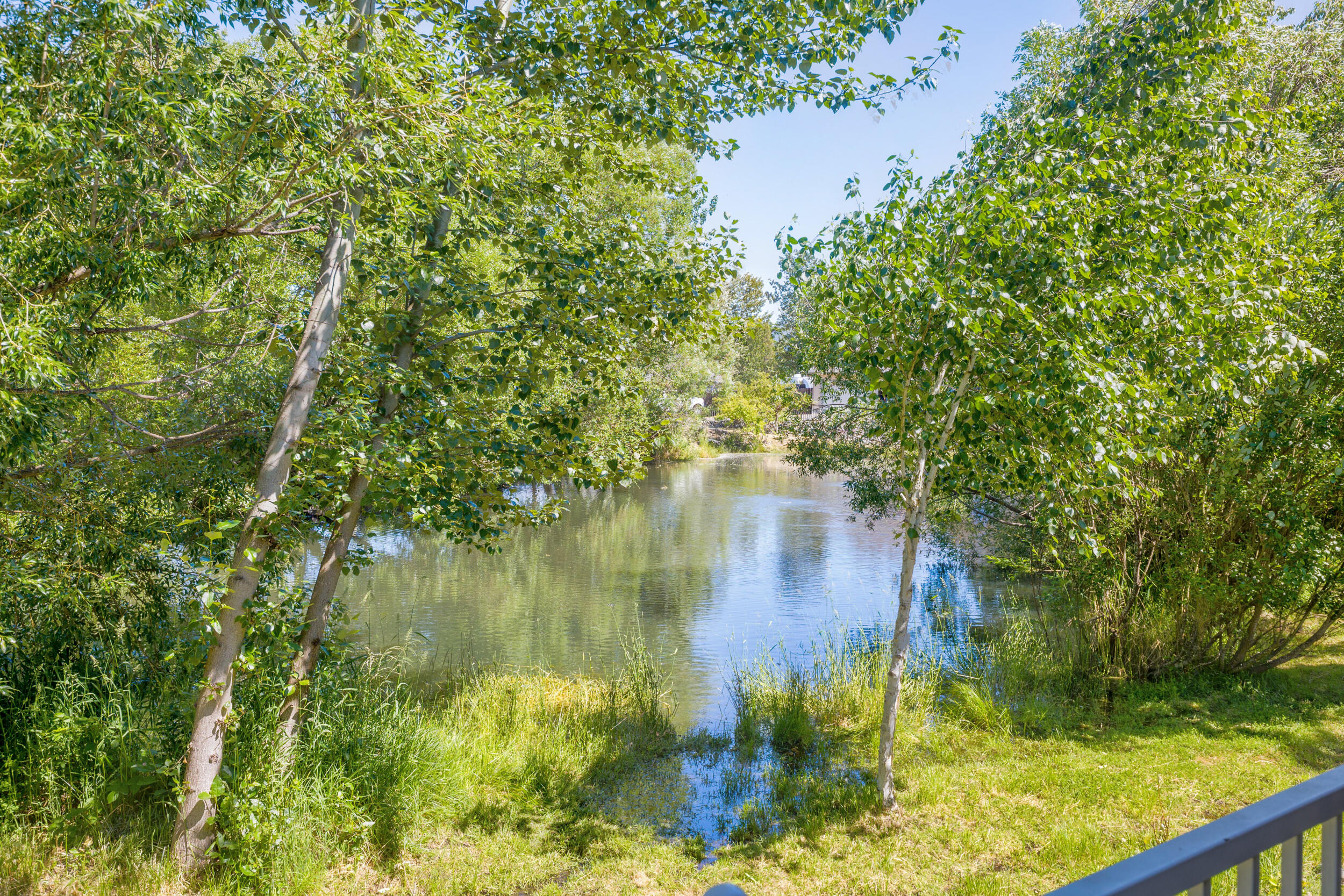 1127 Cashmere Drive