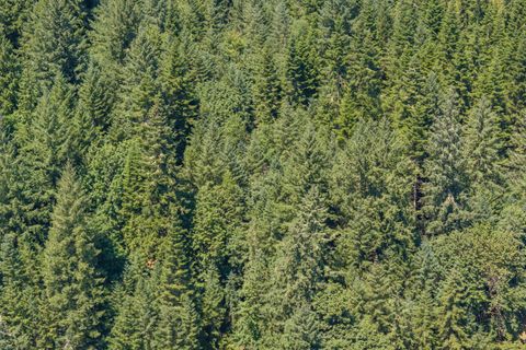 Tiny photo for 42051 Clark Smith Drive, Lebanon, OR 97355 (MLS # 220219436)