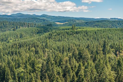 Tiny photo for 42051 Clark Smith Drive, Lebanon, OR 97355 (MLS # 220219436)