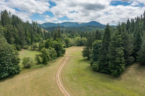 Tiny photo for 42051 Clark Smith Drive, Lebanon, OR 97355 (MLS # 220219436)