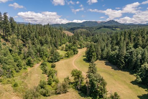 Tiny photo for 42051 Clark Smith Drive, Lebanon, OR 97355 (MLS # 220219436)