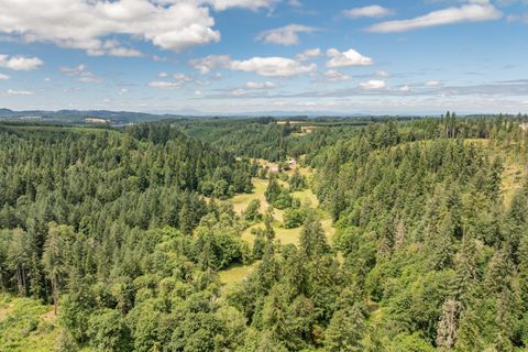 Tiny photo for 42051 Clark Smith Drive, Lebanon, OR 97355 (MLS # 220219436)