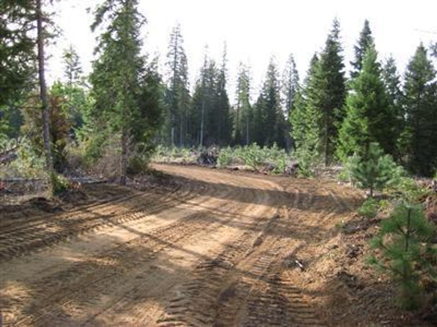 level 26 acre property with great road access, secluded (approved) homesite and creek frontage on Barr Creek. Property borders Gov't land to the east. Great location and tons of potential for a fantastic homesite.