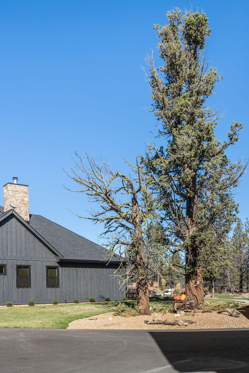 Squaw Creek Canyon - Residential