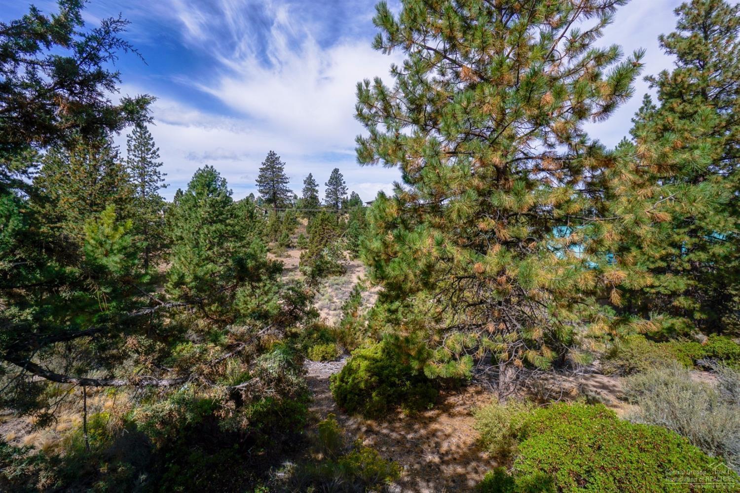 Mt Bachelor Village - Residential