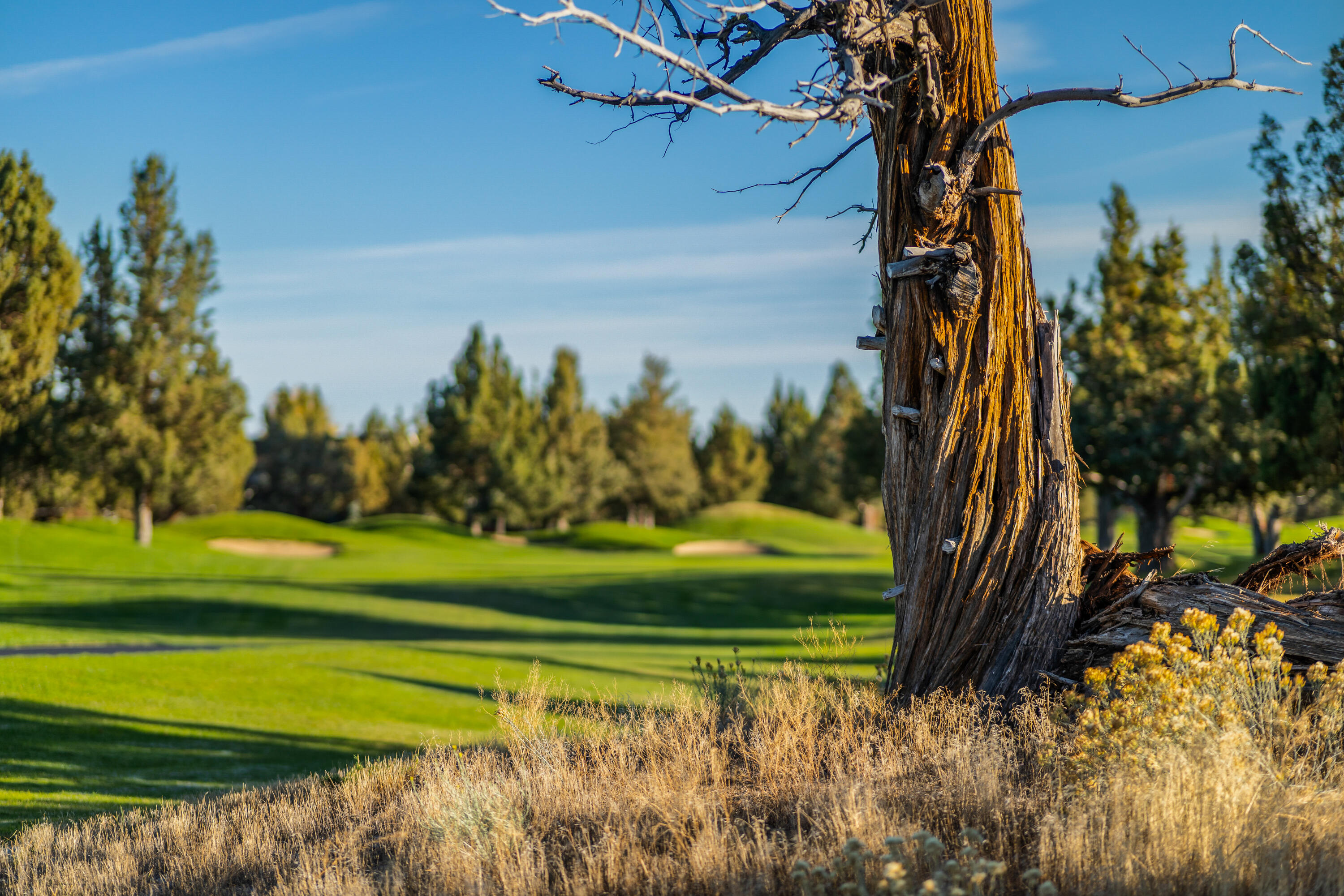 Eagle Crest - Residential