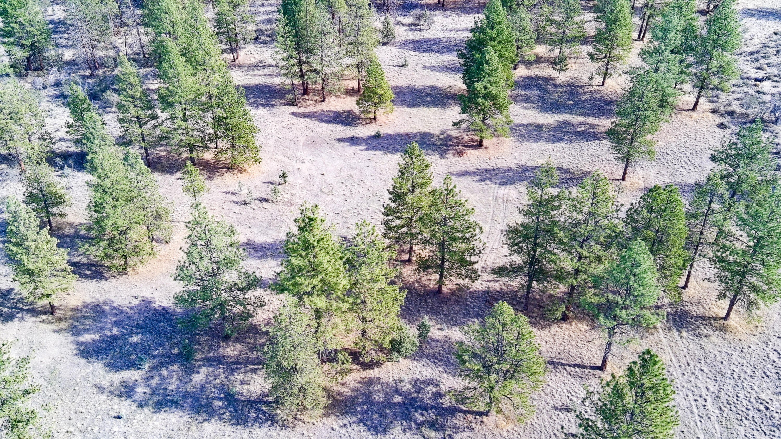 Sprague River Valley Acres - Land