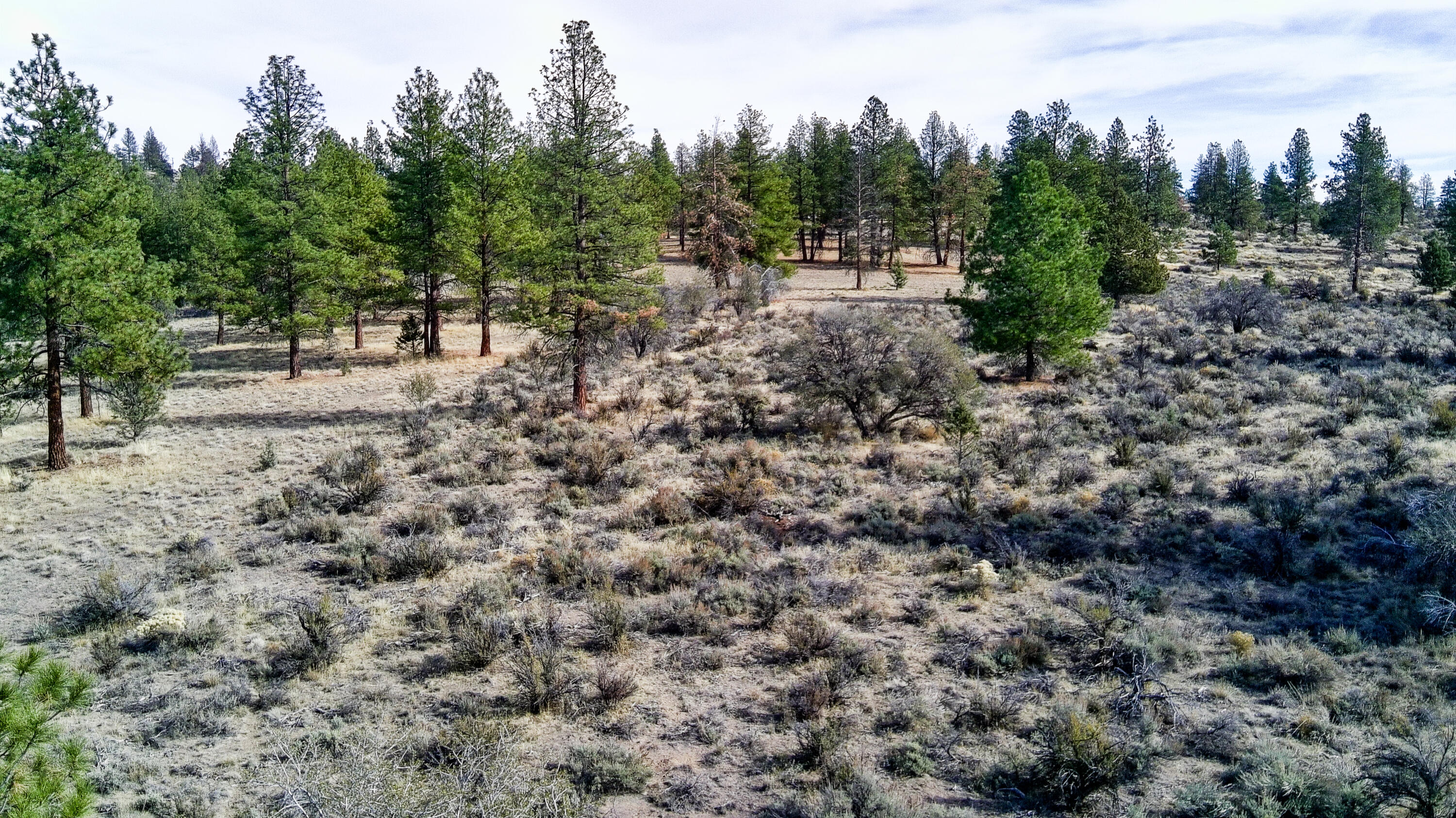 Sprague River Valley Acres - Land