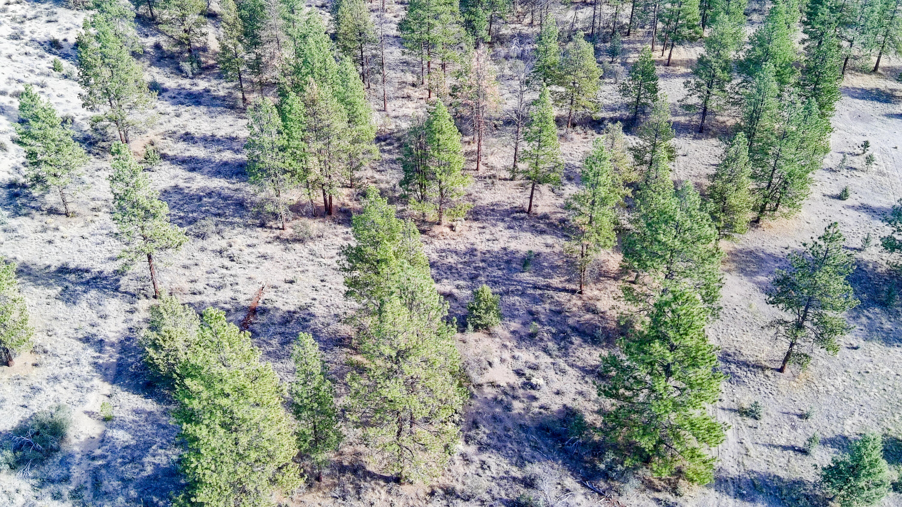 Sprague River Valley Acres - Land