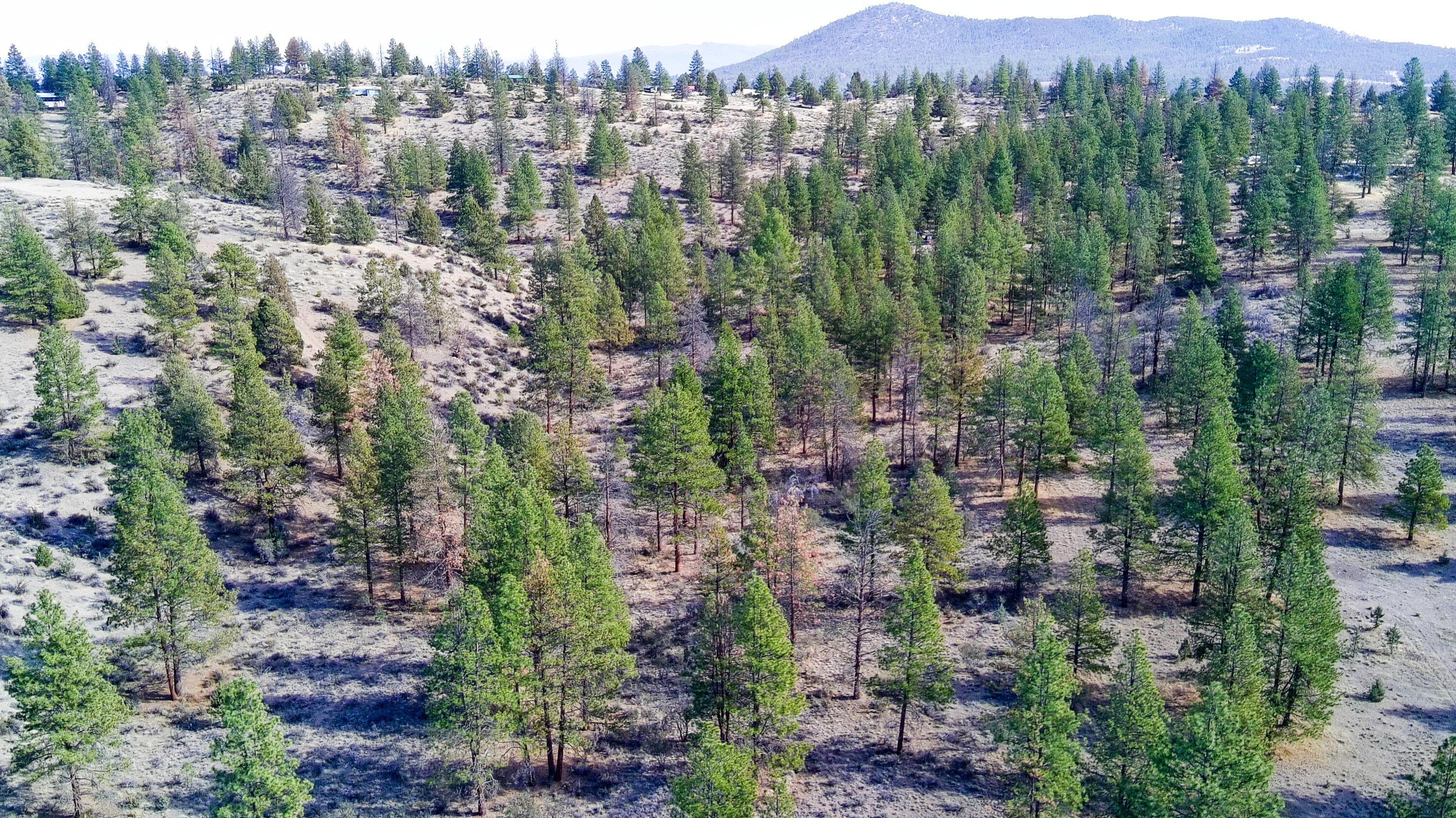 Sprague River Valley Acres - Land